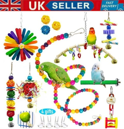 Pack parrot toys set - pack,