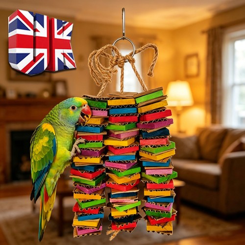 1set bird parrot - 1set,