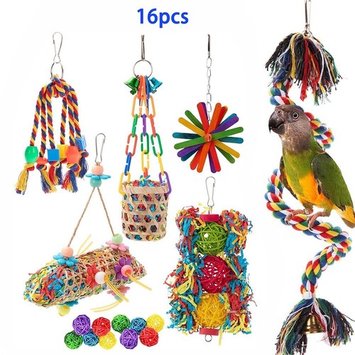 Pack parrot toys set - pack,
