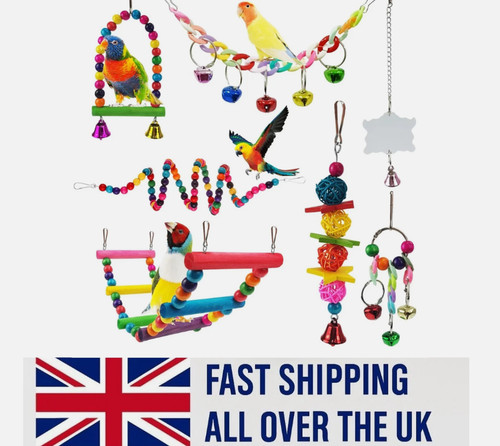 Pack parrot toys - parrot, metal