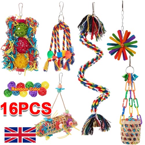 Pack parrot toys set swing - pack,