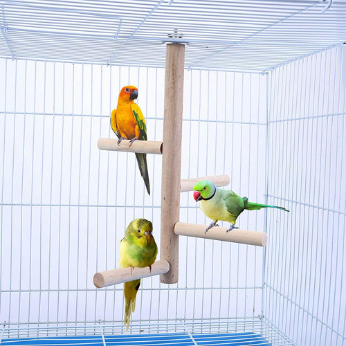 Budgie parrot perches bird toy - parrot,