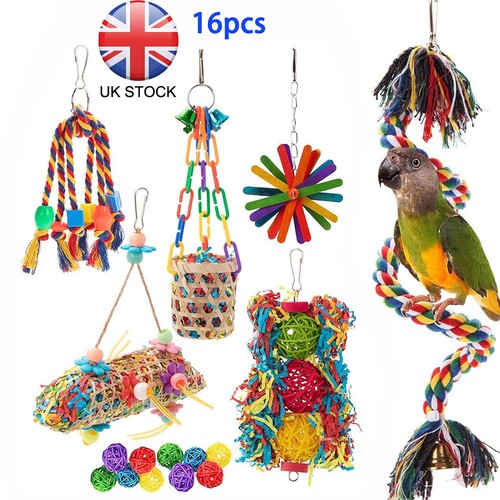 16pcs bamboo parrot - bamboo, toys