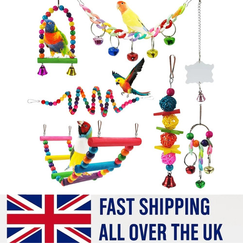Pack parrot toys set - pack,