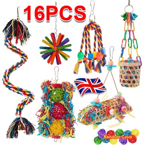 Pack parrot toys set - 16, swing