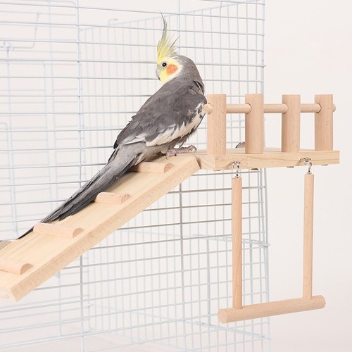 Bird cage accessories - cage, set