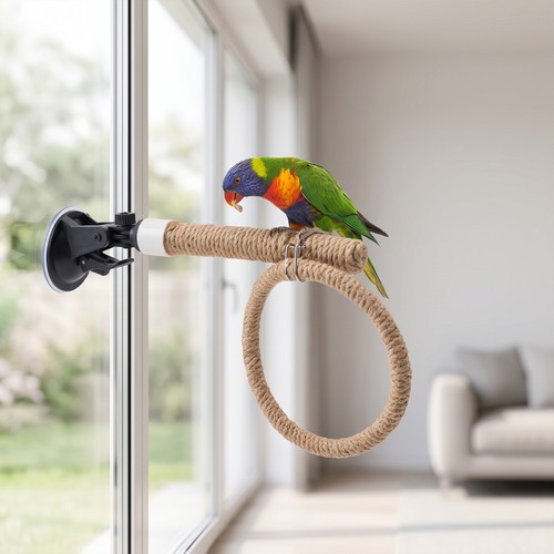 Natural jute parrot swing - natural,