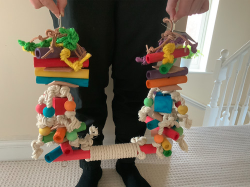 Giant parrot swing extra - parrot,