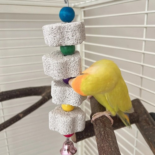 Bird chewing toy parrot - chewing,