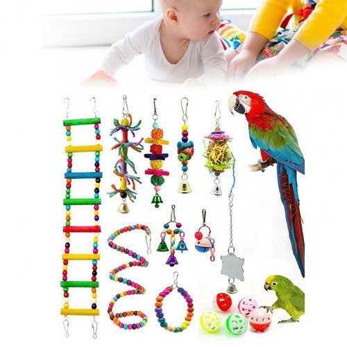 15x parrot chewing - 15x,