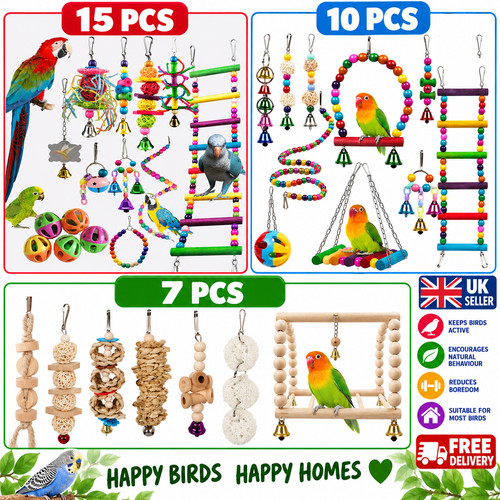 Bird toys set - toys,
