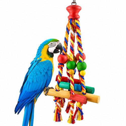 Bird toys parrot - parrot, for