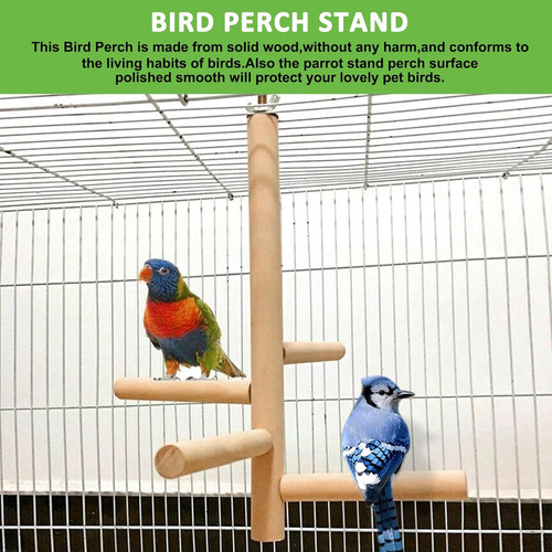 Budgie parrot perches - budgie, toy