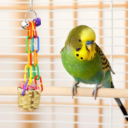 Set chewing and - of, shredding