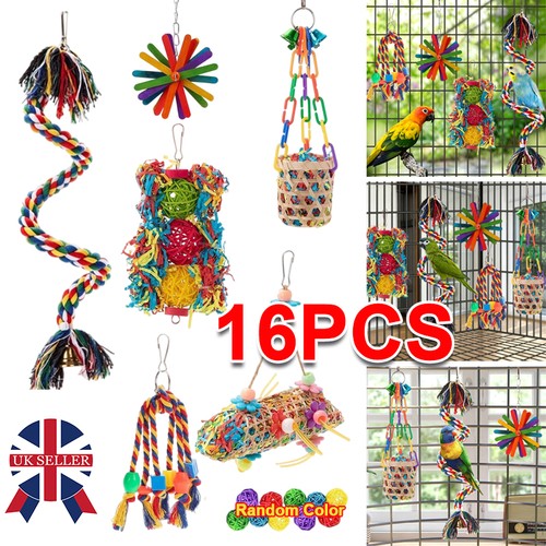 Pack parrot toys set - 16,