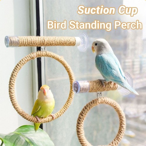 Suction cup bird toy swing - bird,