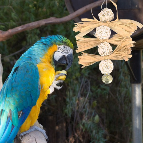 Bird toy accessories parrot - toy,