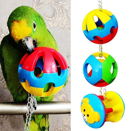 Parakeet hanging swing - swing, bite
