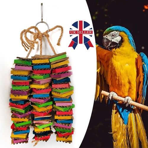 3pack set bird parrot toy - 3pack/set,