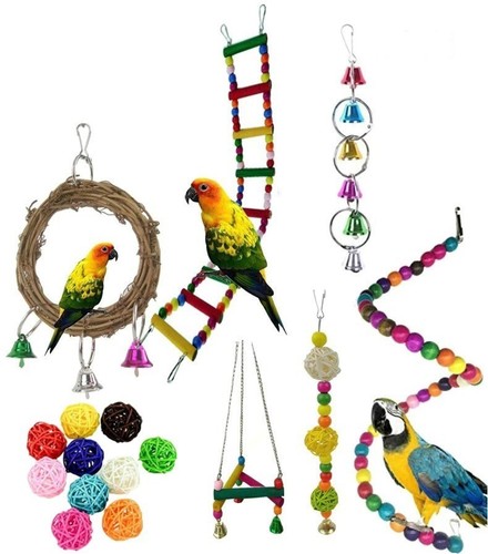 Pet bird parrot nibbling - bird,
