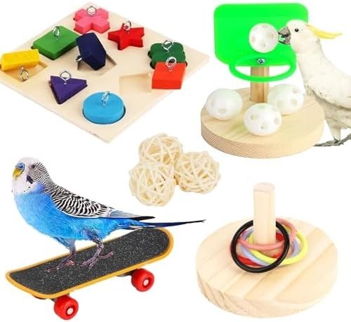 Pieces parrot toys set - 4,