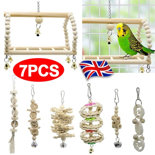 Pack parrot toys set - parrot, rope
