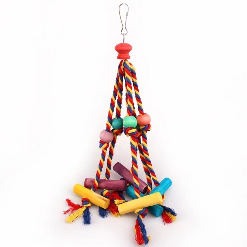 Random colour bird - colour, chew