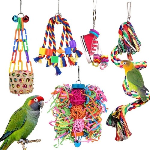 Parrot swing pull string toy - swing,