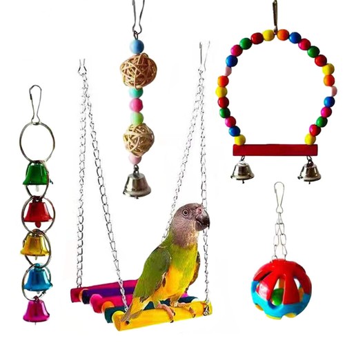 5pcs parrot bite - parrot, pet