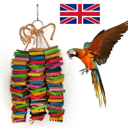 Bird parrot toy - bird,