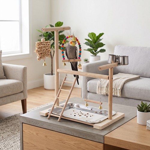 Wooden parrot play - wooden, perch