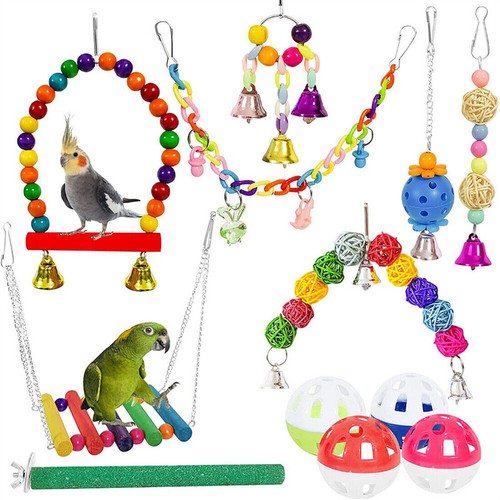 Pack parrot toys set - 21,