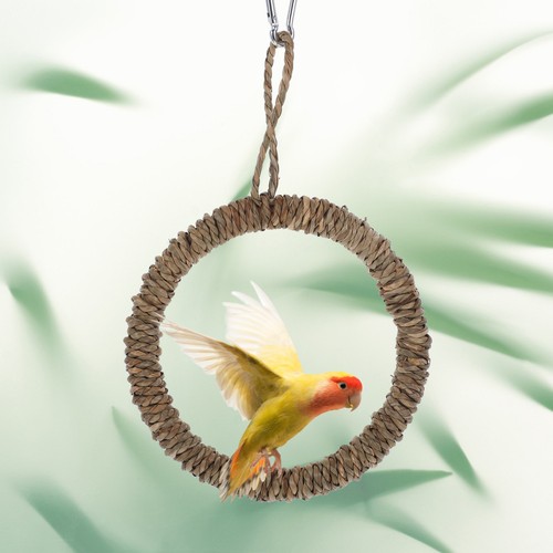 Set bird ring - of,