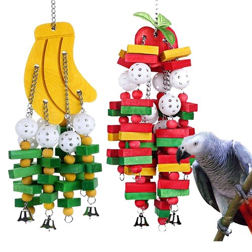 Large bird parrot - large, for