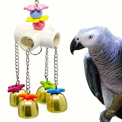Large parrot chewing - large,