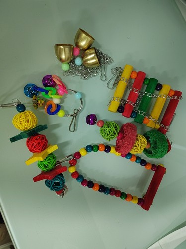 6pcs set parrot birds toy - parrot,